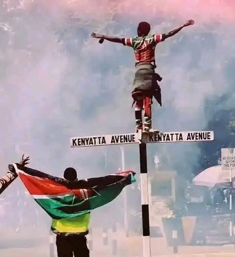 Gen z during finance bill protests