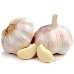 Fresh garlic bulbs and clove
